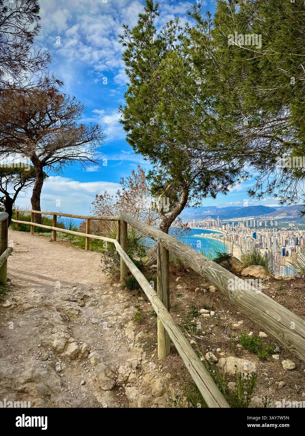 A peaceful hiking trail surrounded by pine trees, opening up to a stunning view of a coastal city and the sea. The wooden fence guides the way, offeri - Smartphone Captured Stock Image