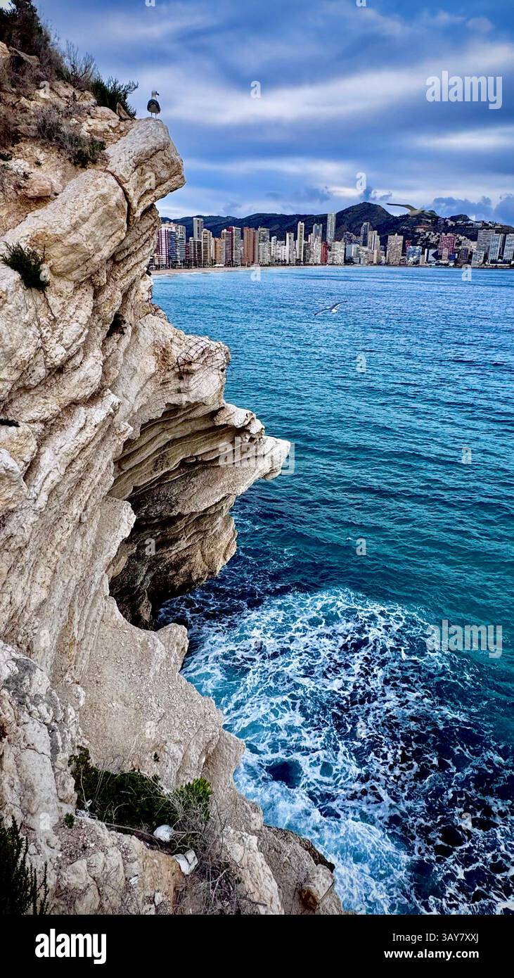 A seagull perches on a rocky cliff, overlooking the turquoise ocean below. The waves crash against the rocks, creating a dynamic contrast to the calm, - Smartphone Captured Stock Image A seagull perches on a rocky cliff, overlooking the turquoise ocean below. The waves crash against the rocks, creating a dynamic contrast to the calm, - Smartphone Captured Stock Image