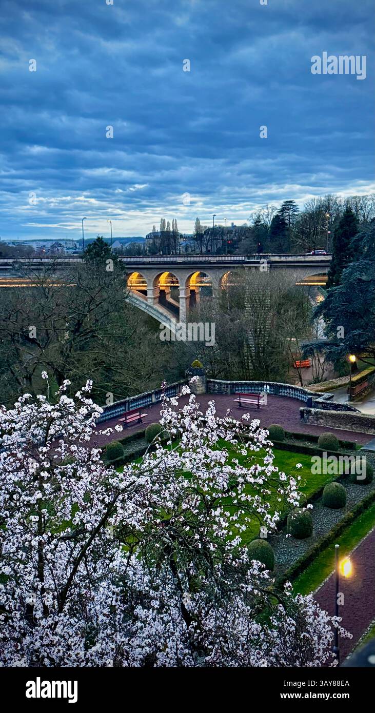 A beautiful view of a blooming spring garden with white blossoms in the foreground and a historic bridge illuminated in soft yellow light in the backg - Smartphone Captured Stock Image