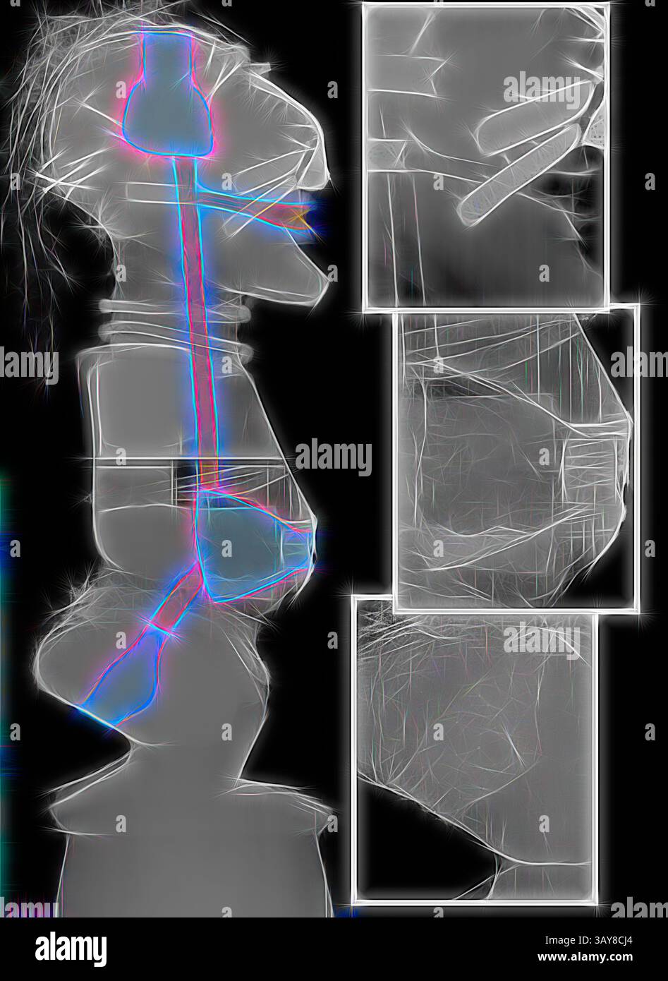 A stylized figure showcases various anatomical features highlighted ...