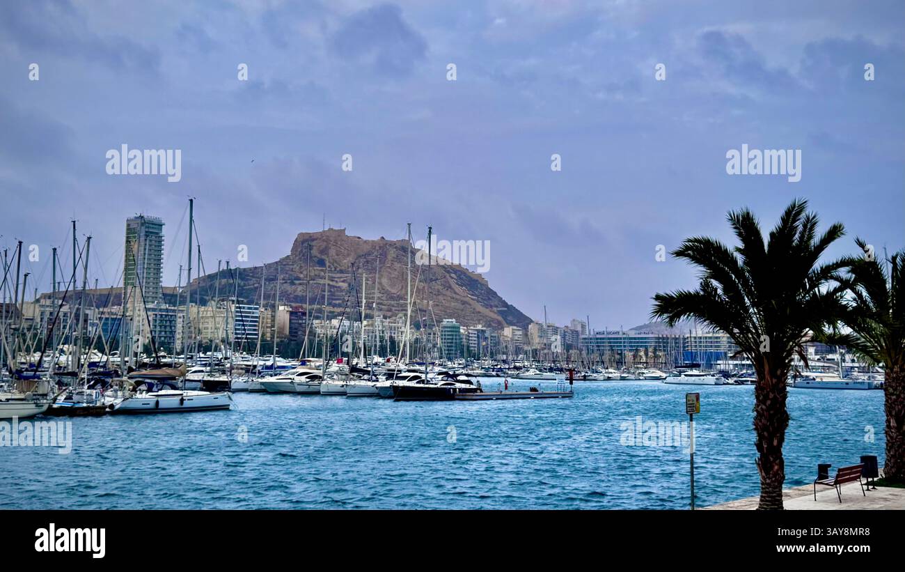 A beautiful coastal cityscape showing a marina filled with yachts and sailboats. In the background, a historic fortress sits atop a rugged hill, overl - Smartphone Captured Stock Image