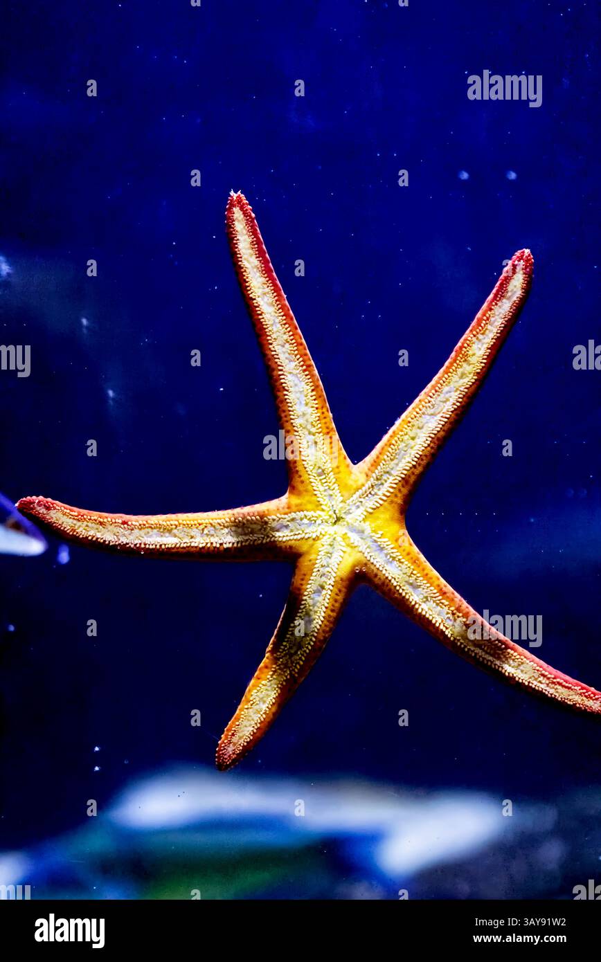 Back side of the island hi-res stock photography and images - Alamy