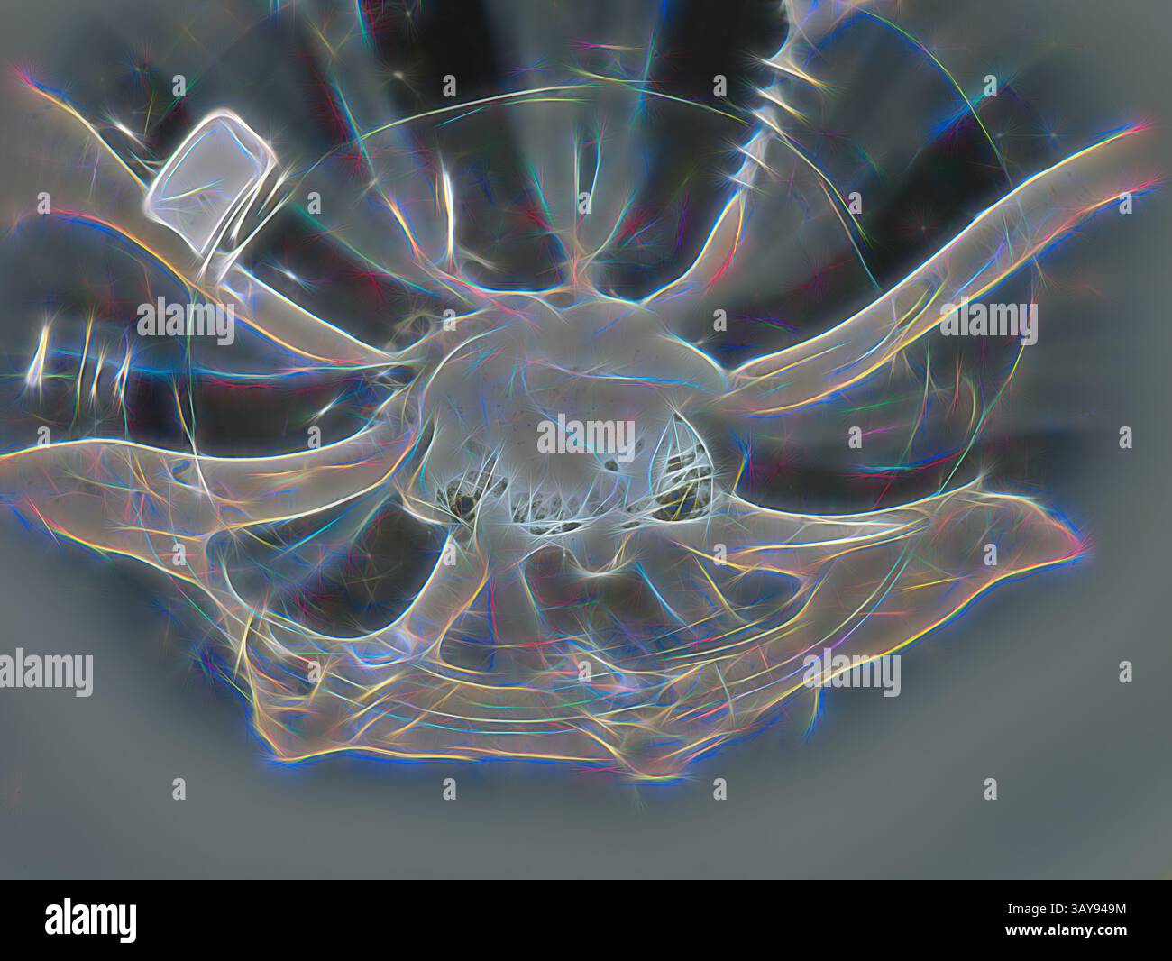 Music reactive animation hi-res stock photography and images - Alamy