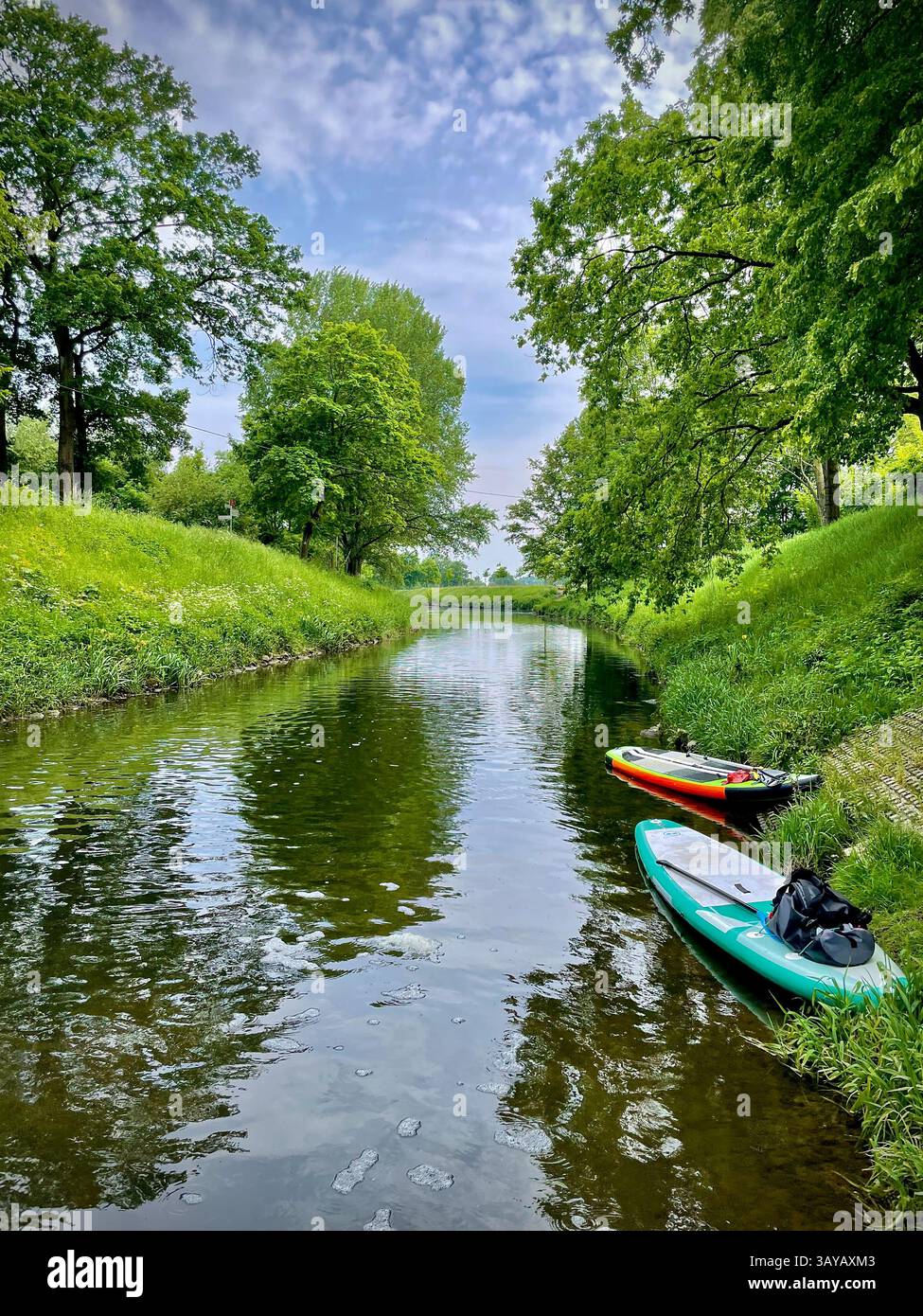 This photo captures two colorful stand-up paddle boards resting on the grassy riverbank of a peaceful green waterway. Surrounded by lush summer foliag - Smartphone Captured Stock Image