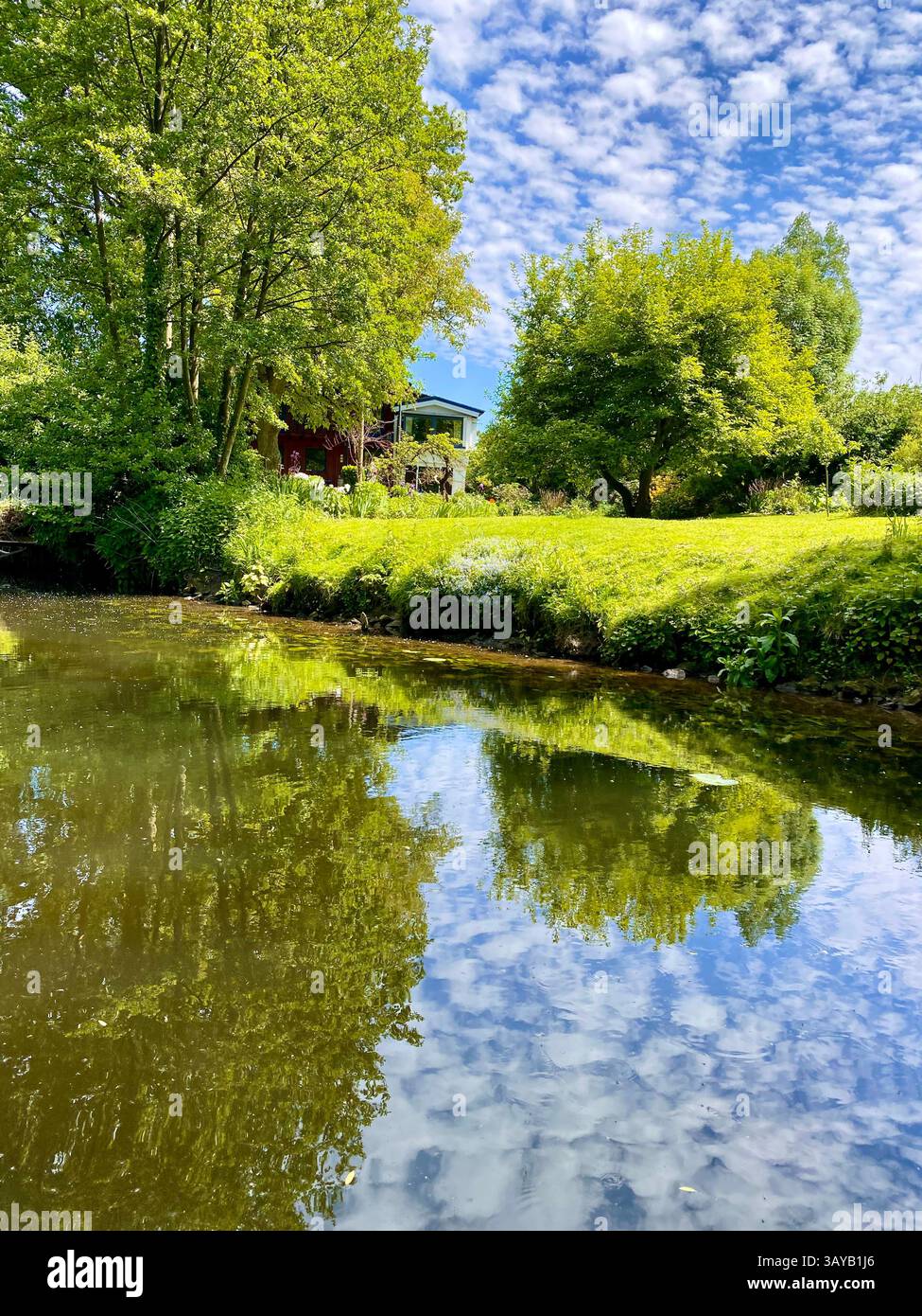 This serene riverside view showcases a cozy garden house surrounded by lush green trees and vibrant summer vegetation. The still river beautifully ref - Smartphone Captured Stock Image