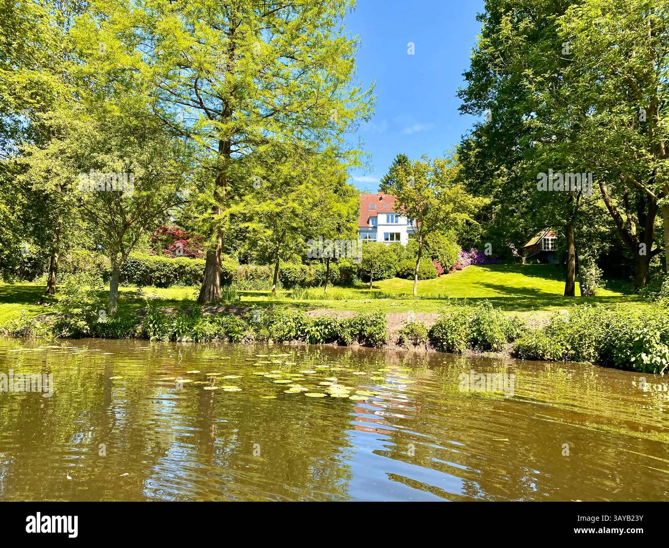 A peaceful summer scene featuring a spacious garden surrounded by tall trees, with a charming house nestled in the background. The foreground shows a - Smartphone Captured Stock Image