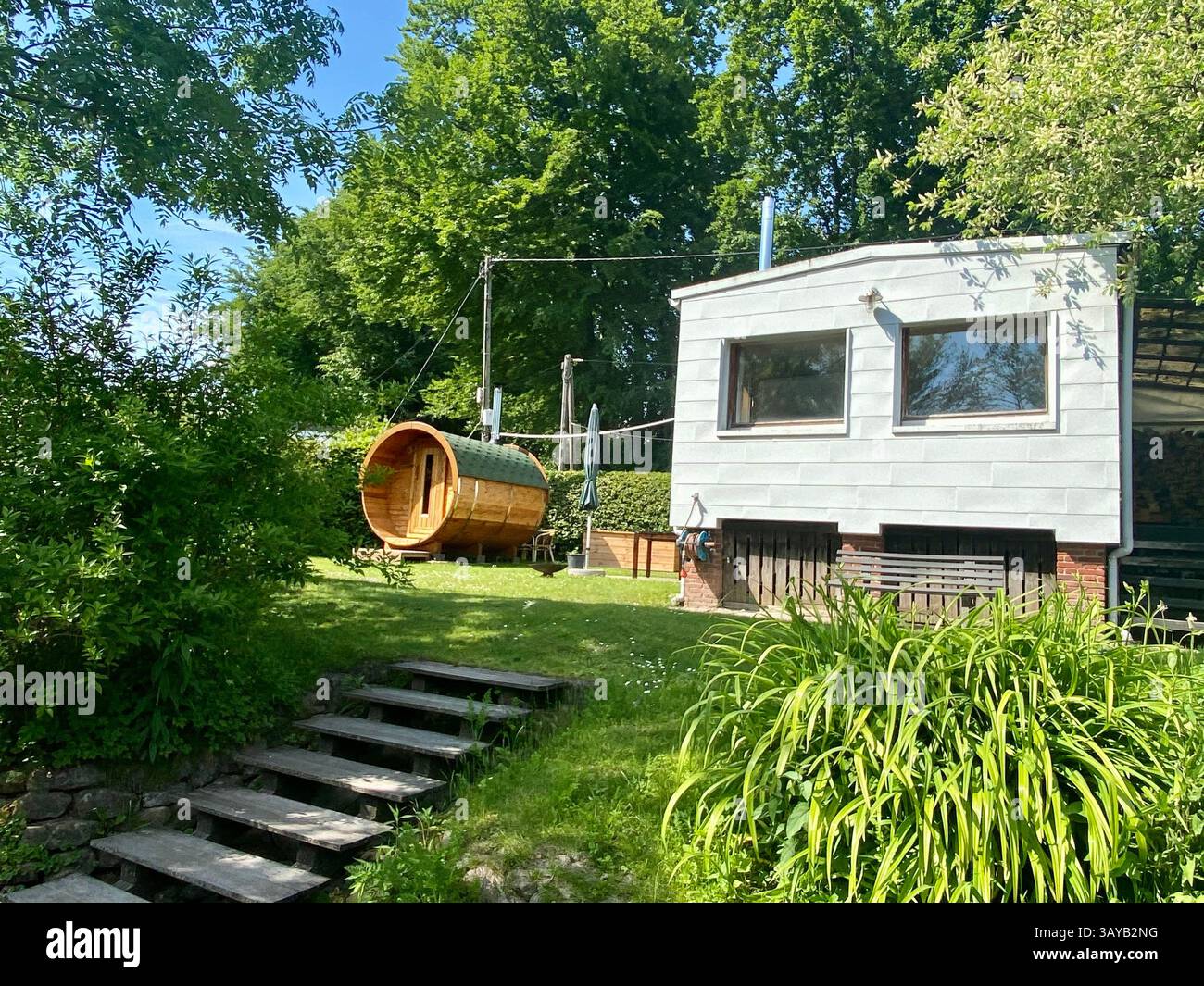 A unique and cozy backyard scene featuring a modern white garden house and a stylish barrel sauna. Surrounded by vibrant greenery and shaded by tall t - Smartphone Captured Stock Image