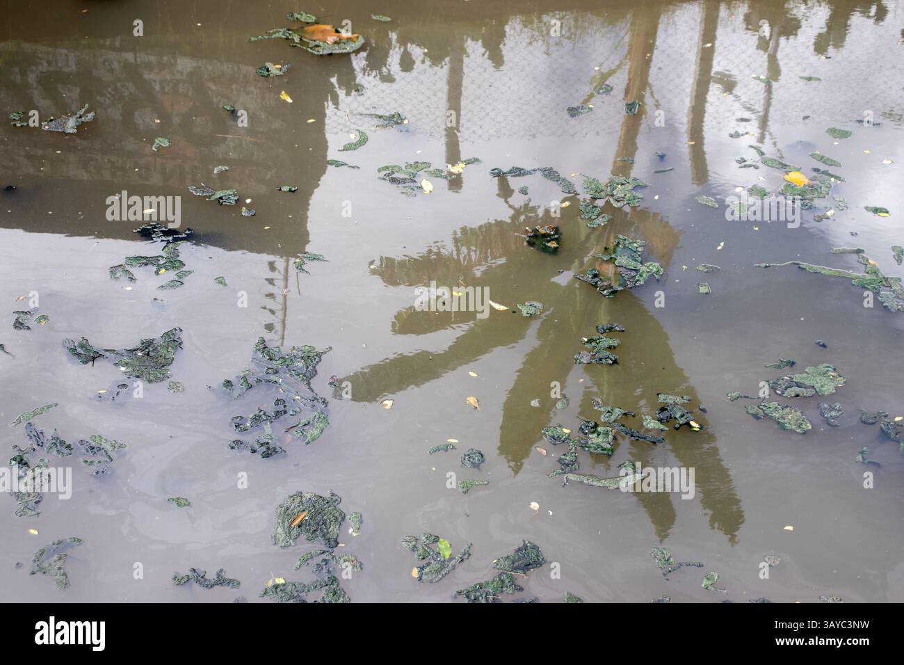 River water contaminated with sewage. Stock Photo