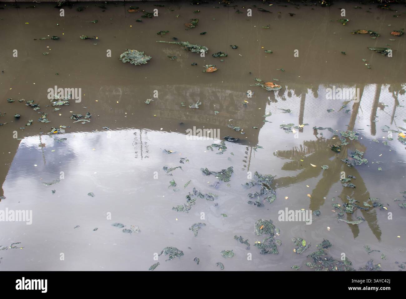 River water contaminated with sewage. Stock Photo