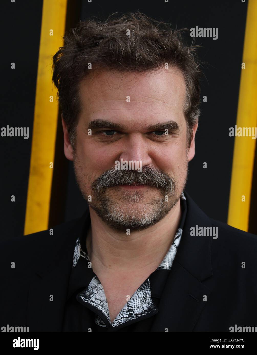 London UK 22nd Apr 2025 LONDON ENGLAND APRIL 22 2025 David London Uk 22nd Apr 2025 London England April 22 2025 David Harbour Attends The European Premiere Of In London England Photo By See Lipicture Capital Credit See Lipicture Live News 3AYCNYC