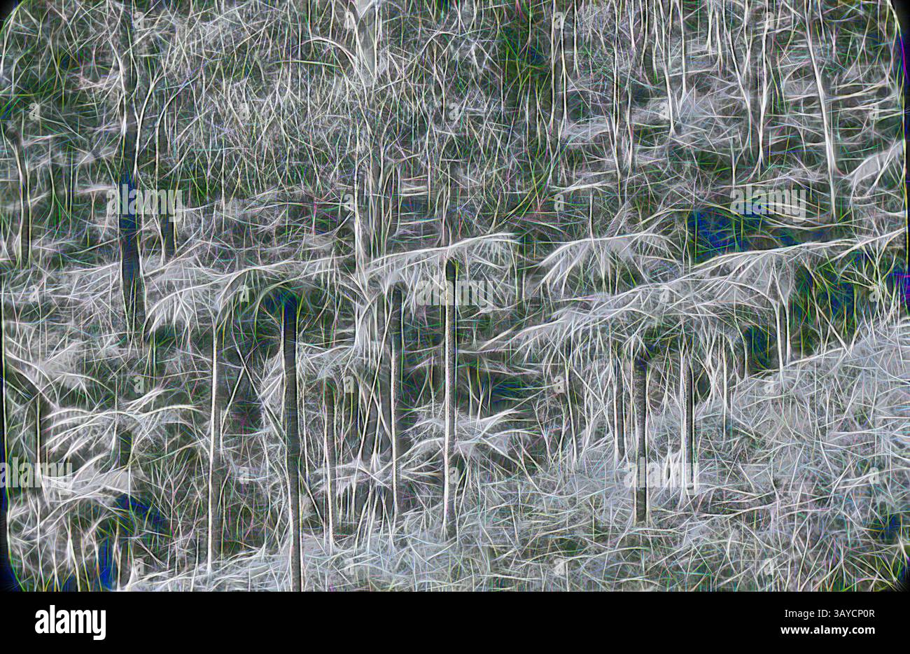 Enveloped in delicate textures hi-res stock photography and images - Alamy