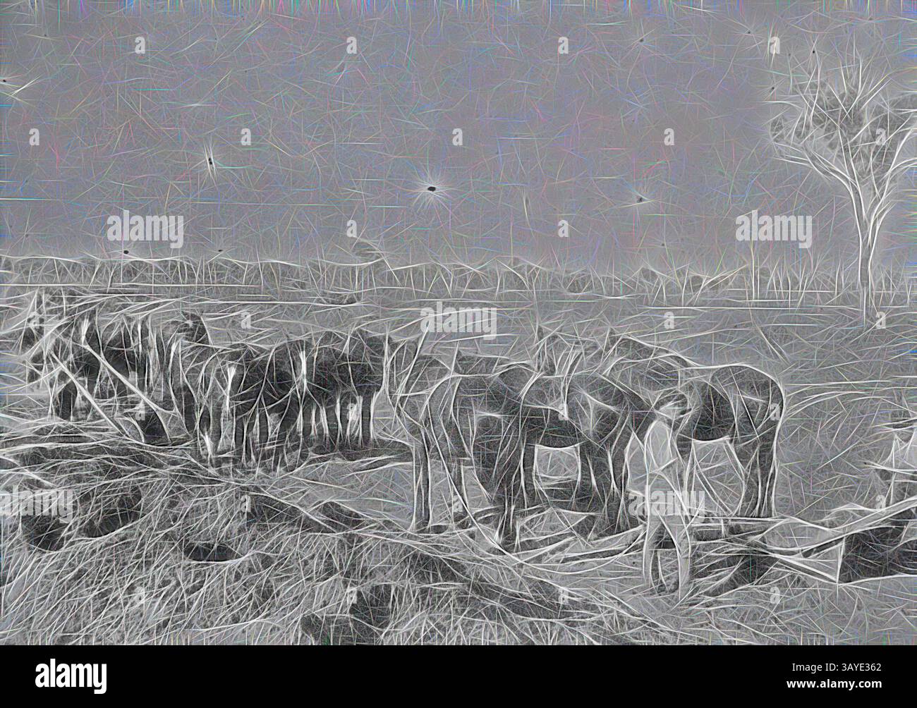 A group of animals gathers near a water source, surrounded by a ...