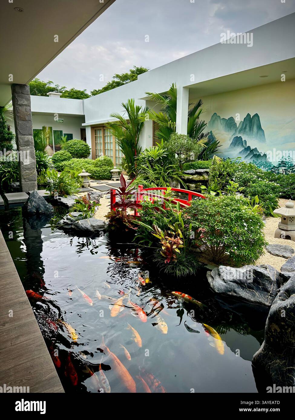 A small outdoor pond with fish and a red bridge, surrounded by tropical plants and green garden landscape. - Smartphone Captured Stock Image