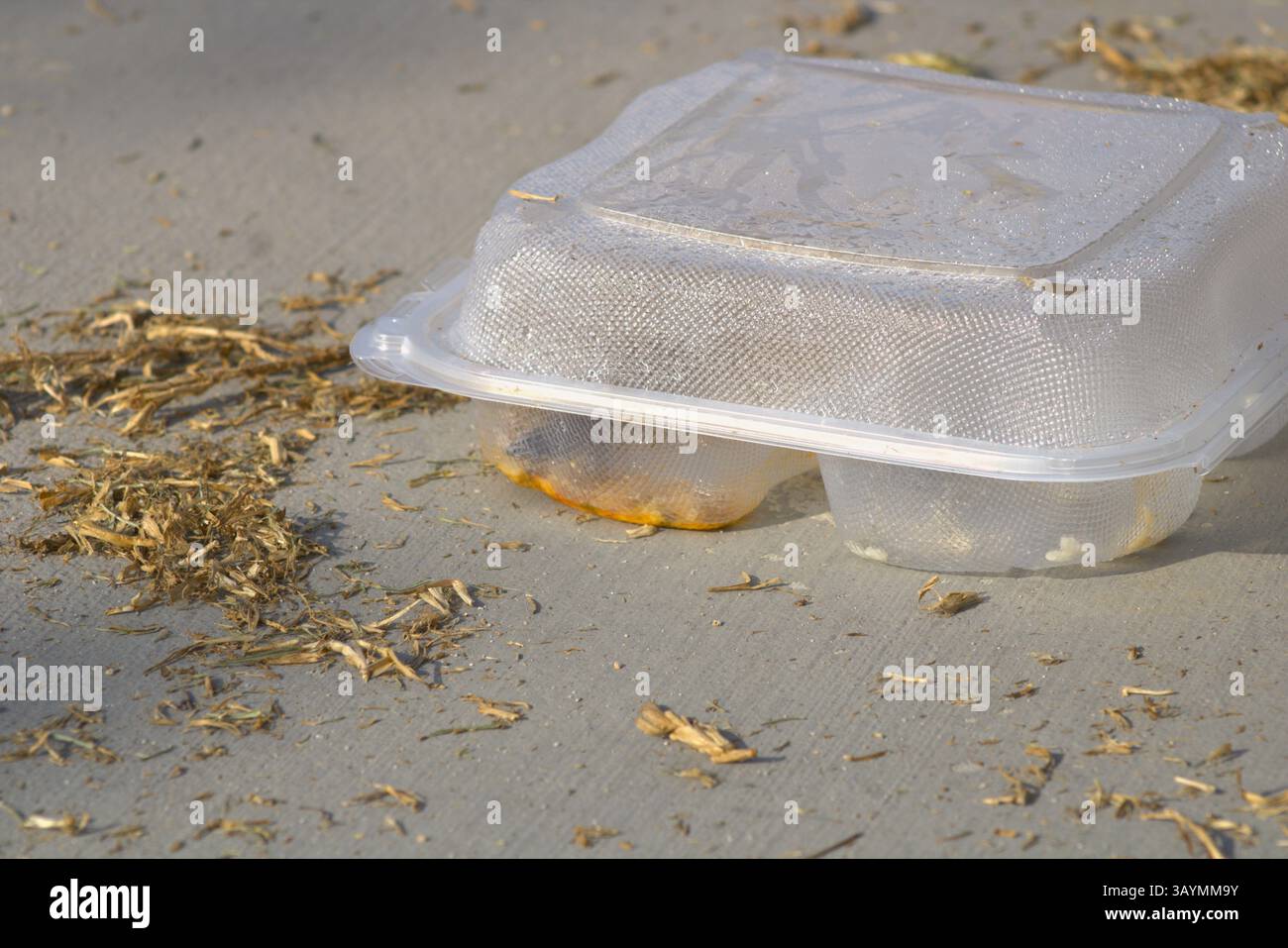 clear plastic food takeout container Stock Photo