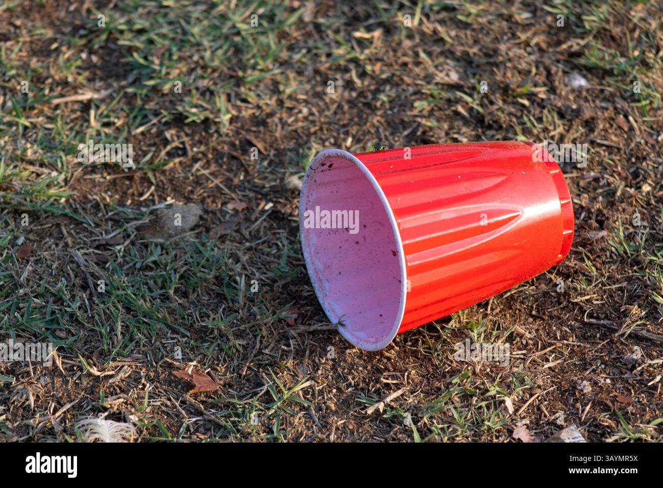 red solo cup the song