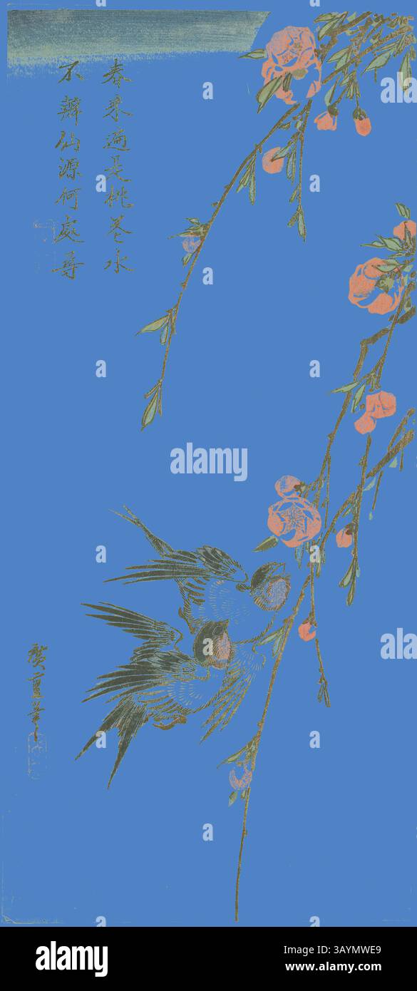 Two vibrant birds perch beneath delicate pink blossoms, with intricate ...