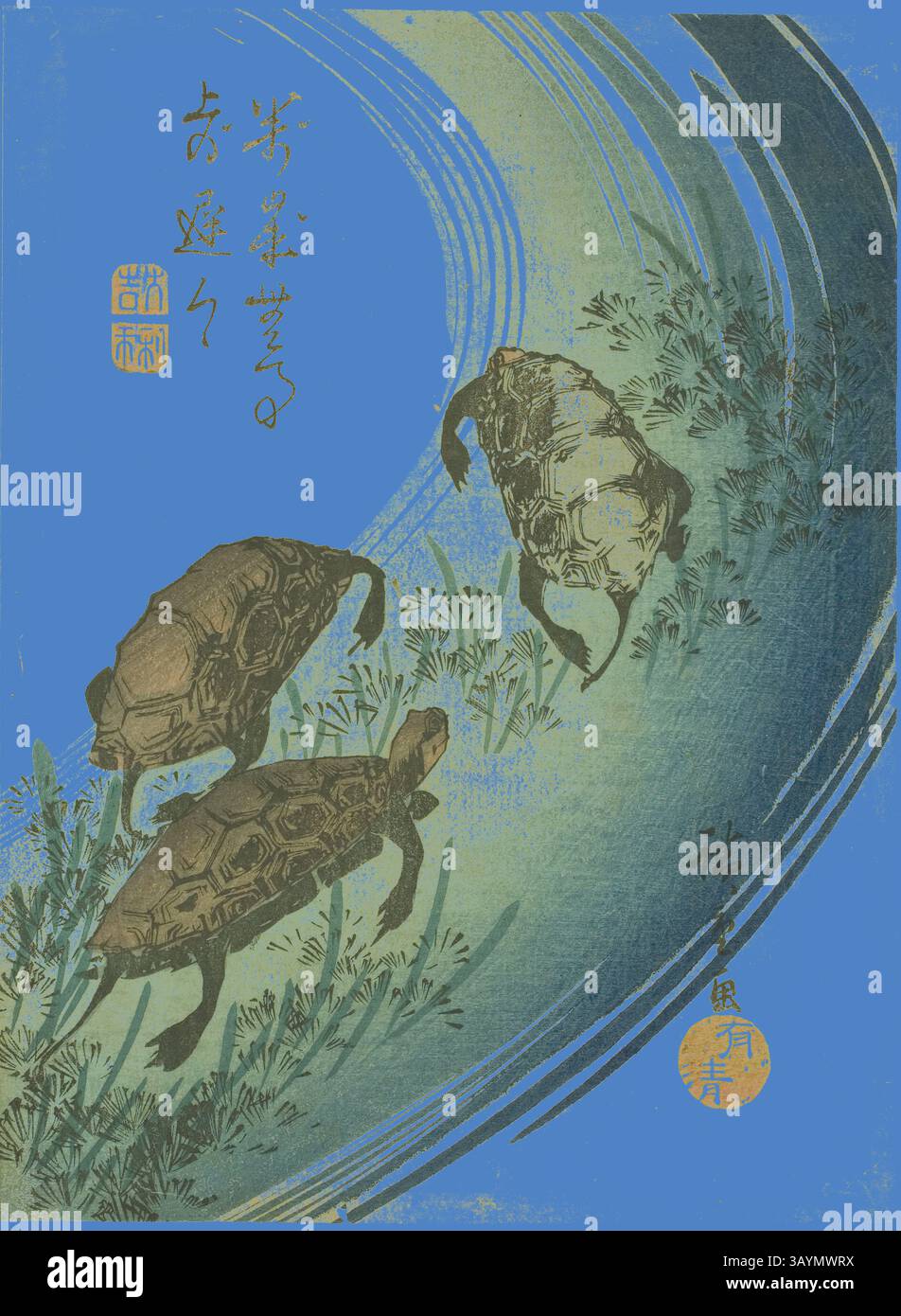 Utagawa Hiroshige. Turtles swimming in a stream. 1835–1845
