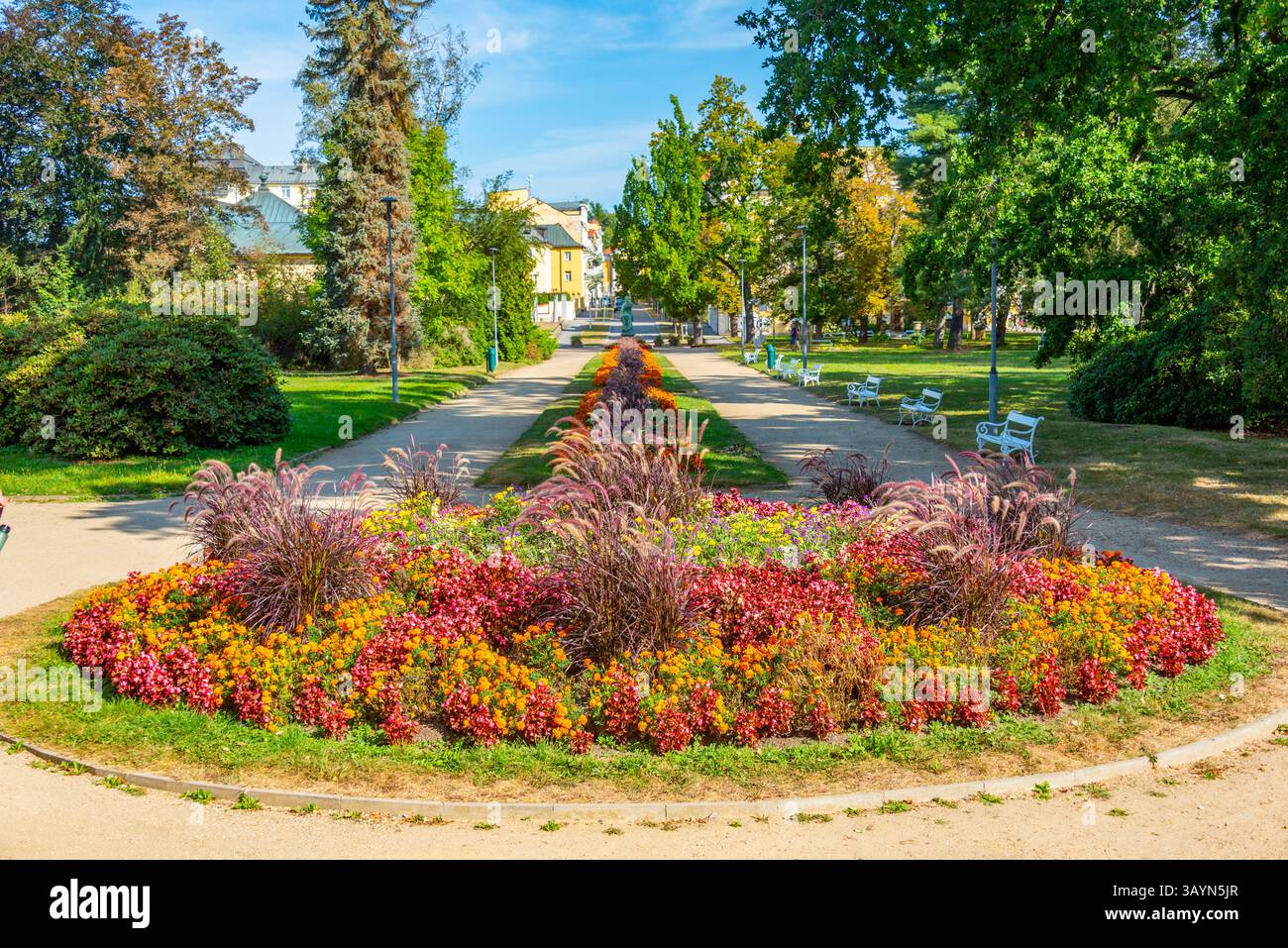 Colourful flowers at promenade in Frantiskovy lazne, Czech republic.IMAGE Stock Photo