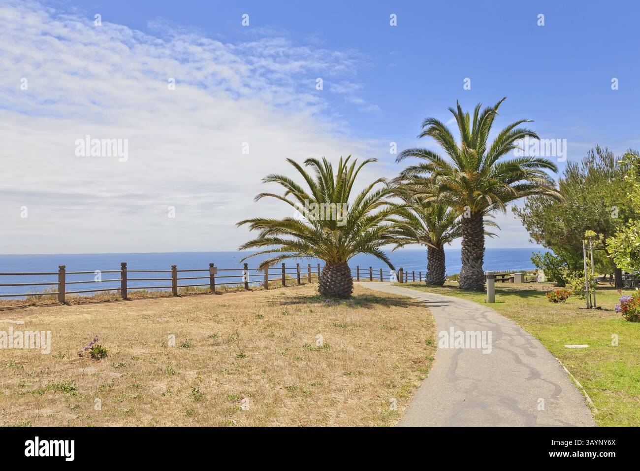 Walkway on the tropical beach with palm trees Stock Photo - Alamy