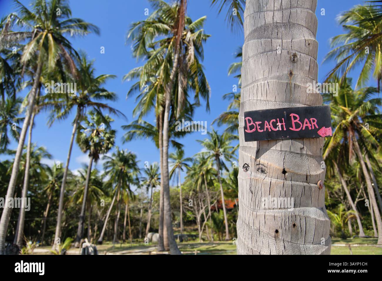 Beach bar sign on palm tree trunk in Thailand Stock Photo