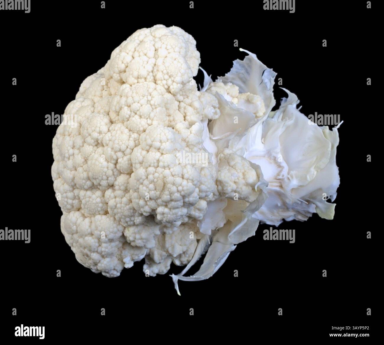 Cauliflower head with clipping path on black Stock Photo