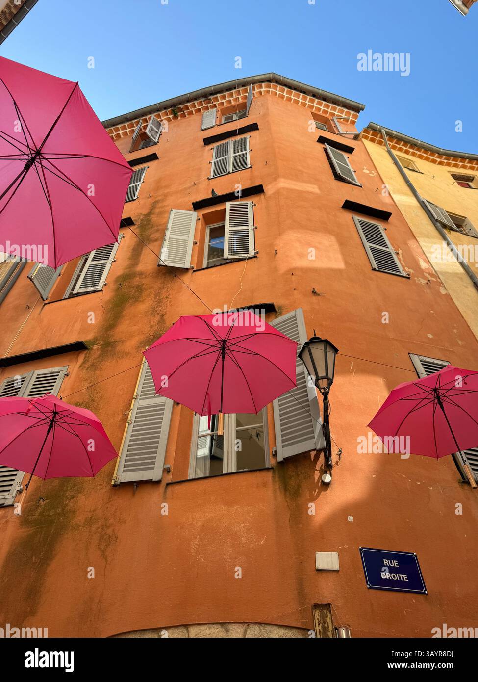 Grasse Rose Umbrellas - Smartphone Captured Stock Image