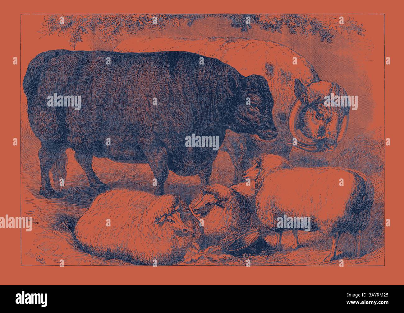 Monica Streff | De Bullvine, image size:1300x1005