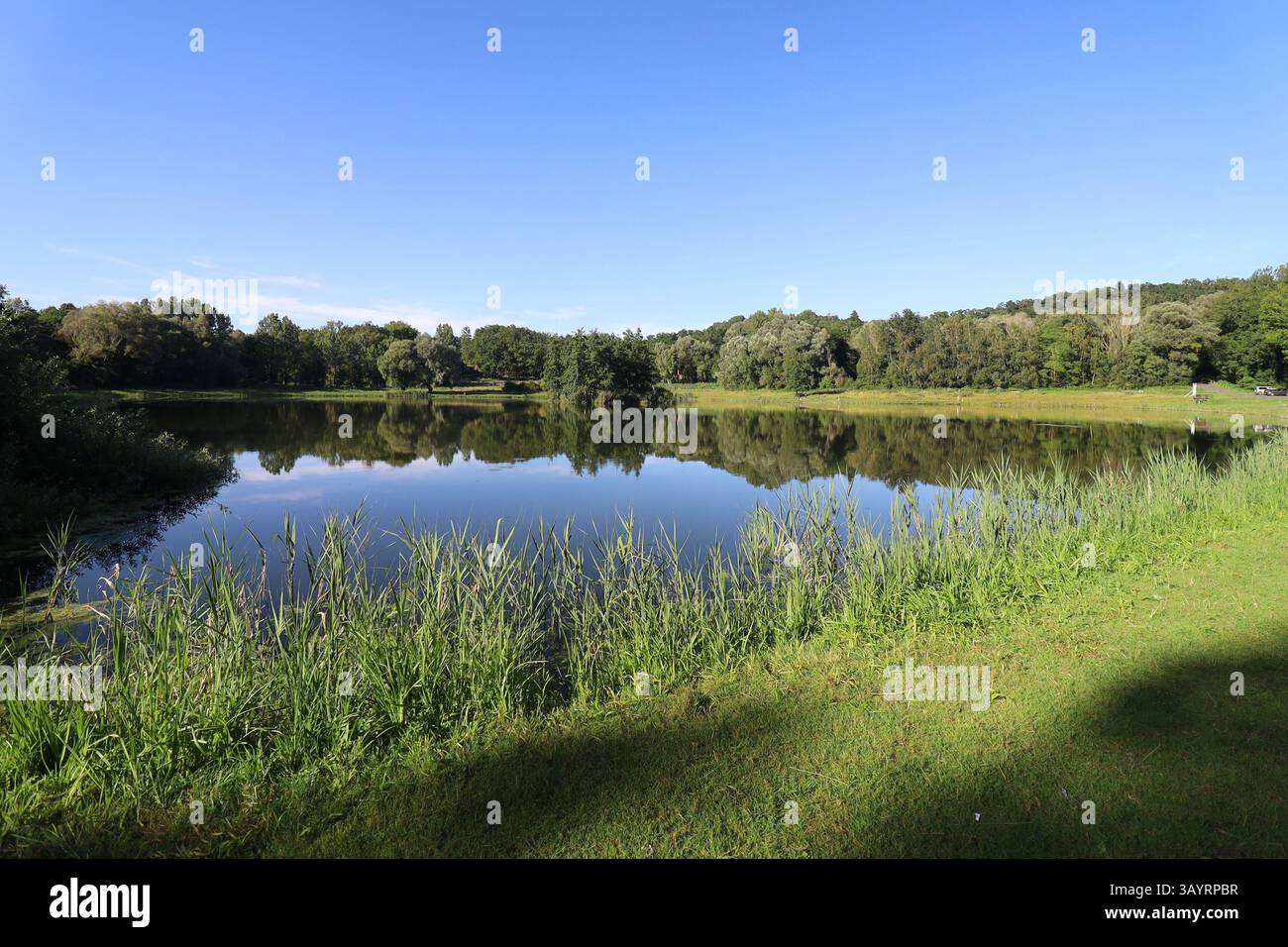 Gaule Laonnoise pond, town of Laon, department of Aisne, France Stock Photo