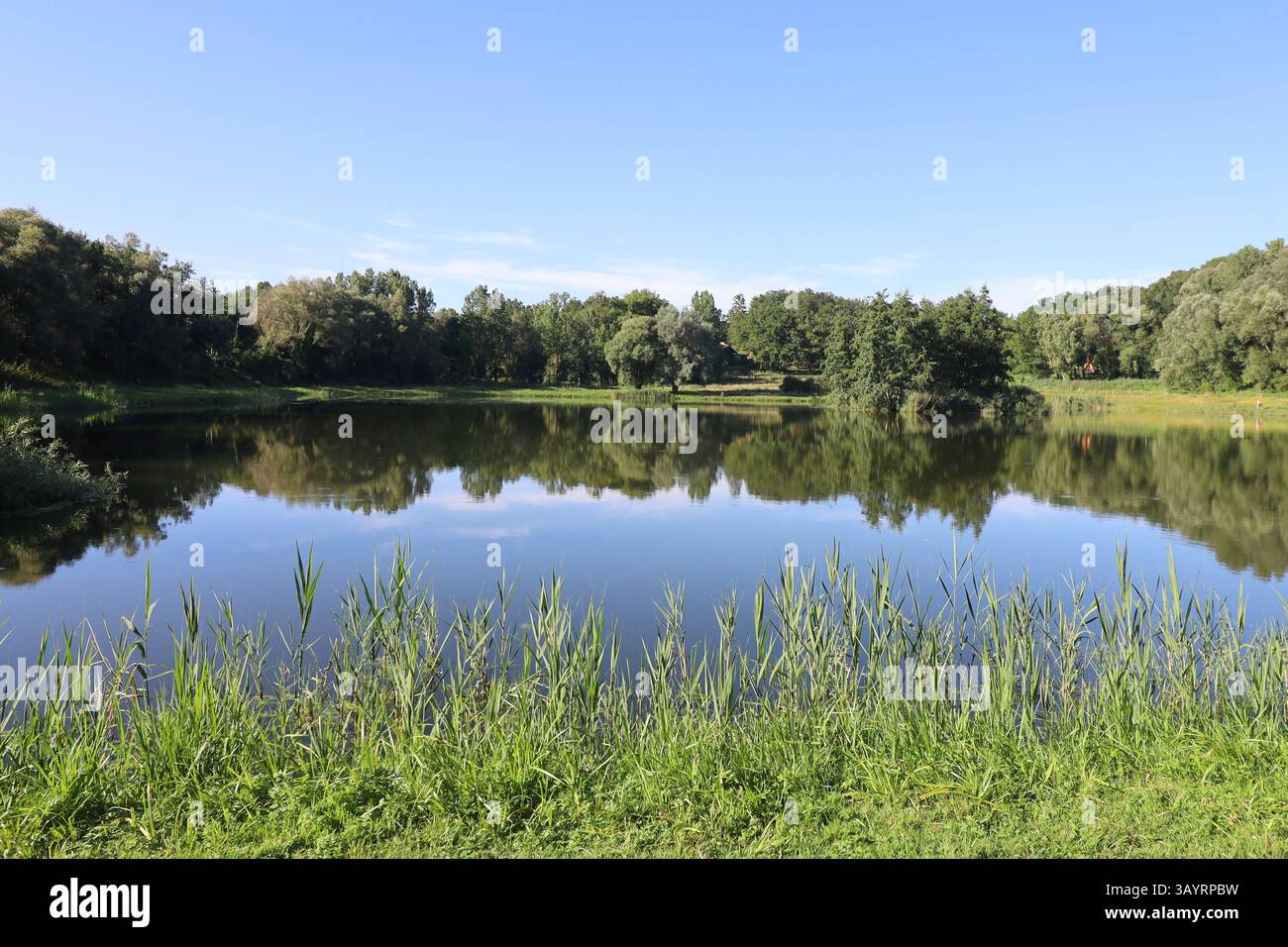 Gaule Laonnoise pond, town of Laon, department of Aisne, France Stock Photo