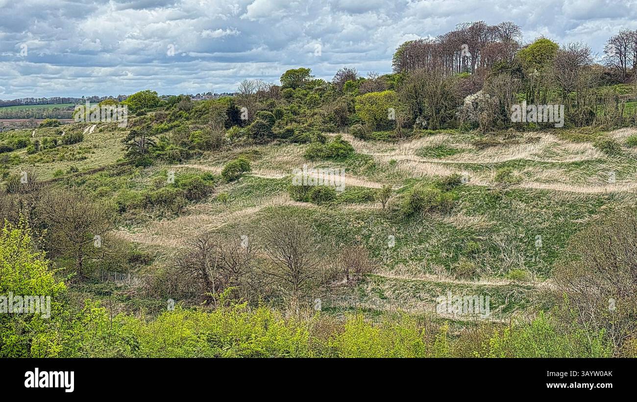St Catherine's Hill in springtime - Smartphone Captured Stock Image