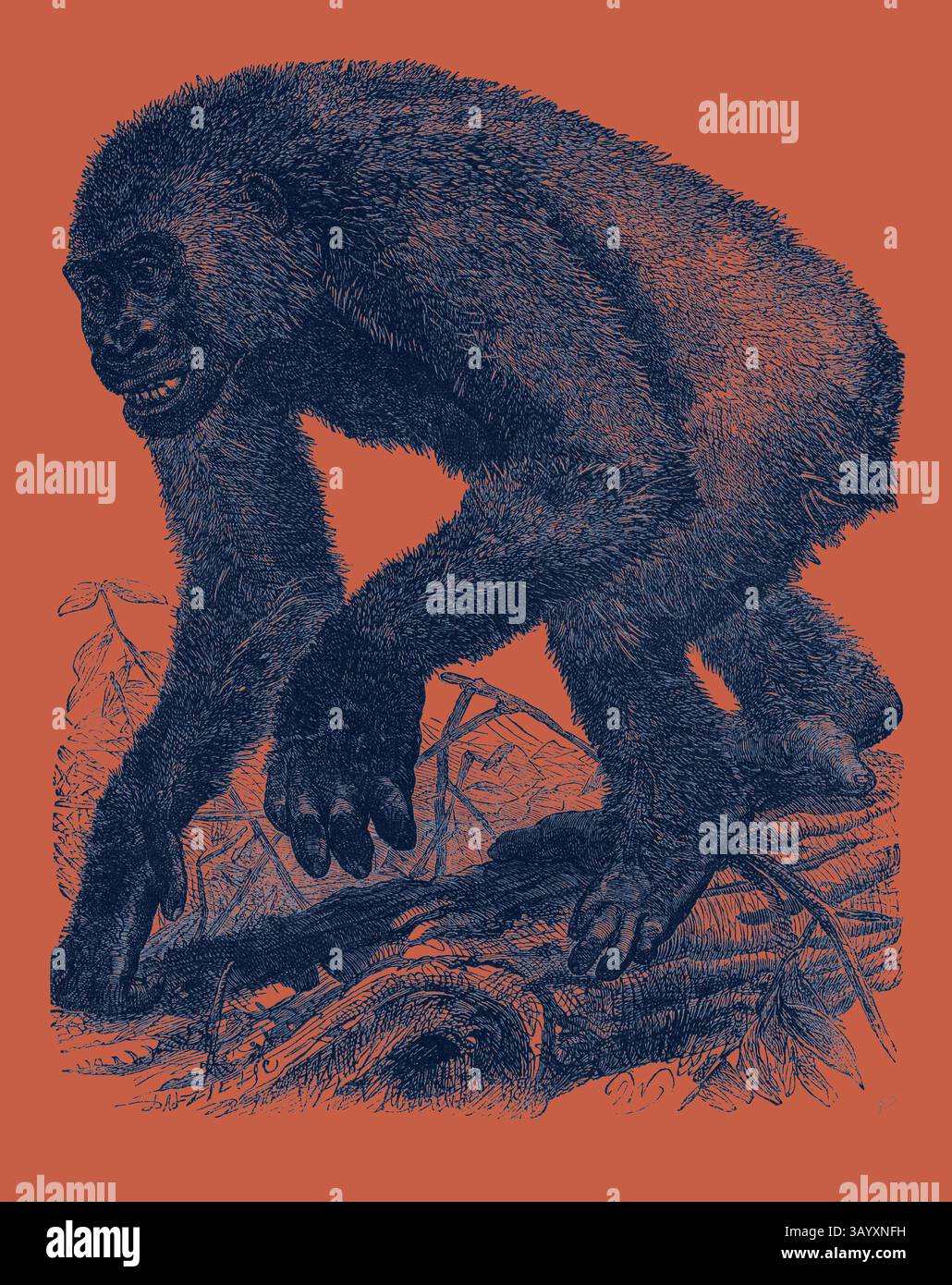 An intricately detailed illustration of a primate in a dynamic pose ...