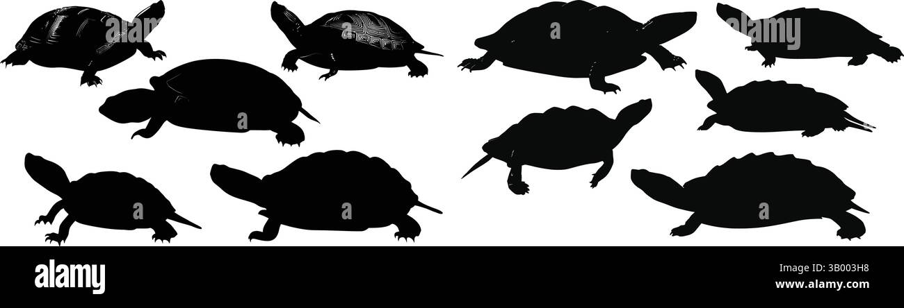 Collection of turtle silhouettes showcasing various poses and shell shapes against a white background Stock Vector