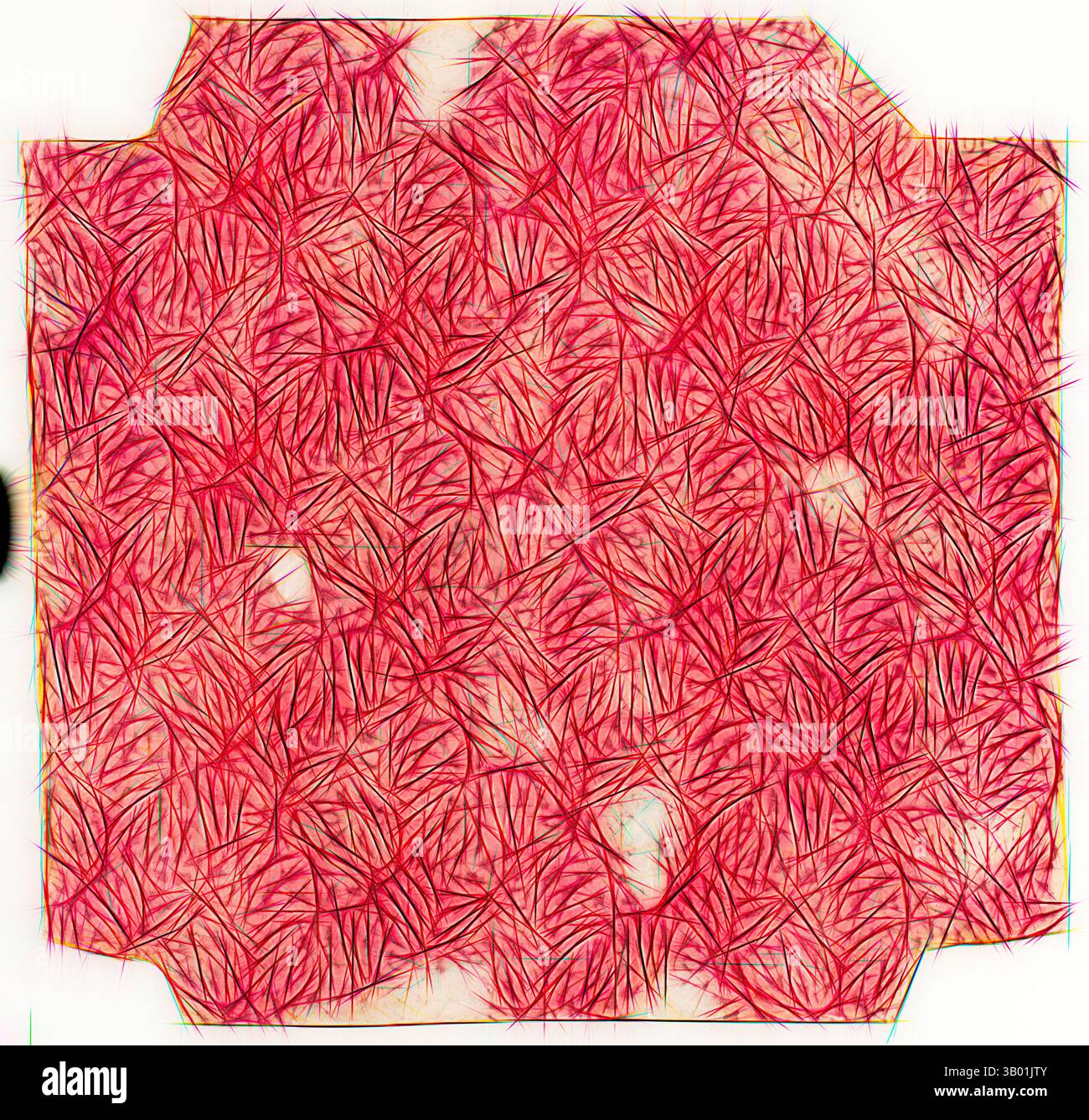Curated visual reference: Visual Reference: A Vibrant Intricate Pattern Featuring Overlapping Shapes And Lines That
