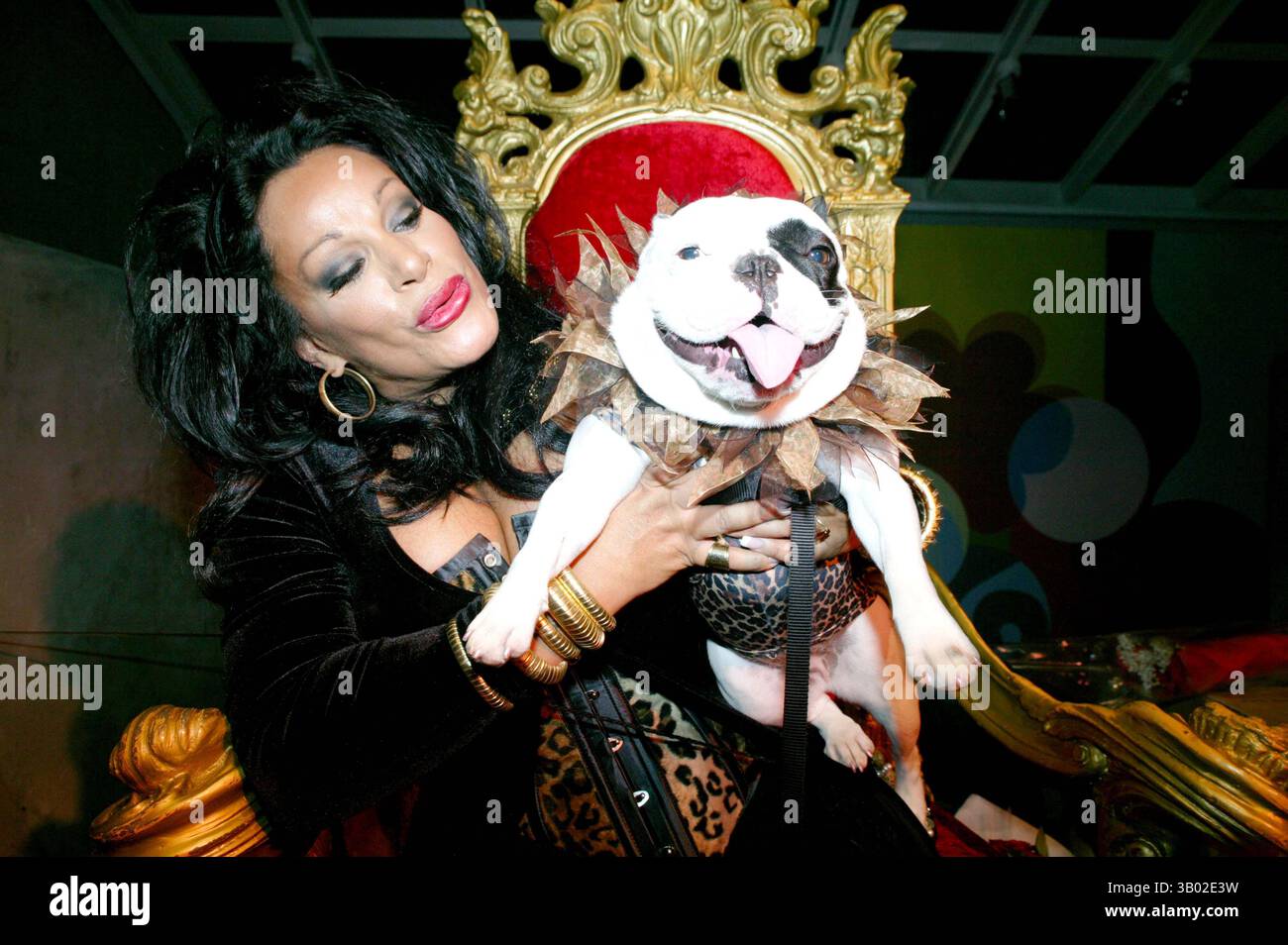 Vanessa del rio hi res stock photography and images Alamy
