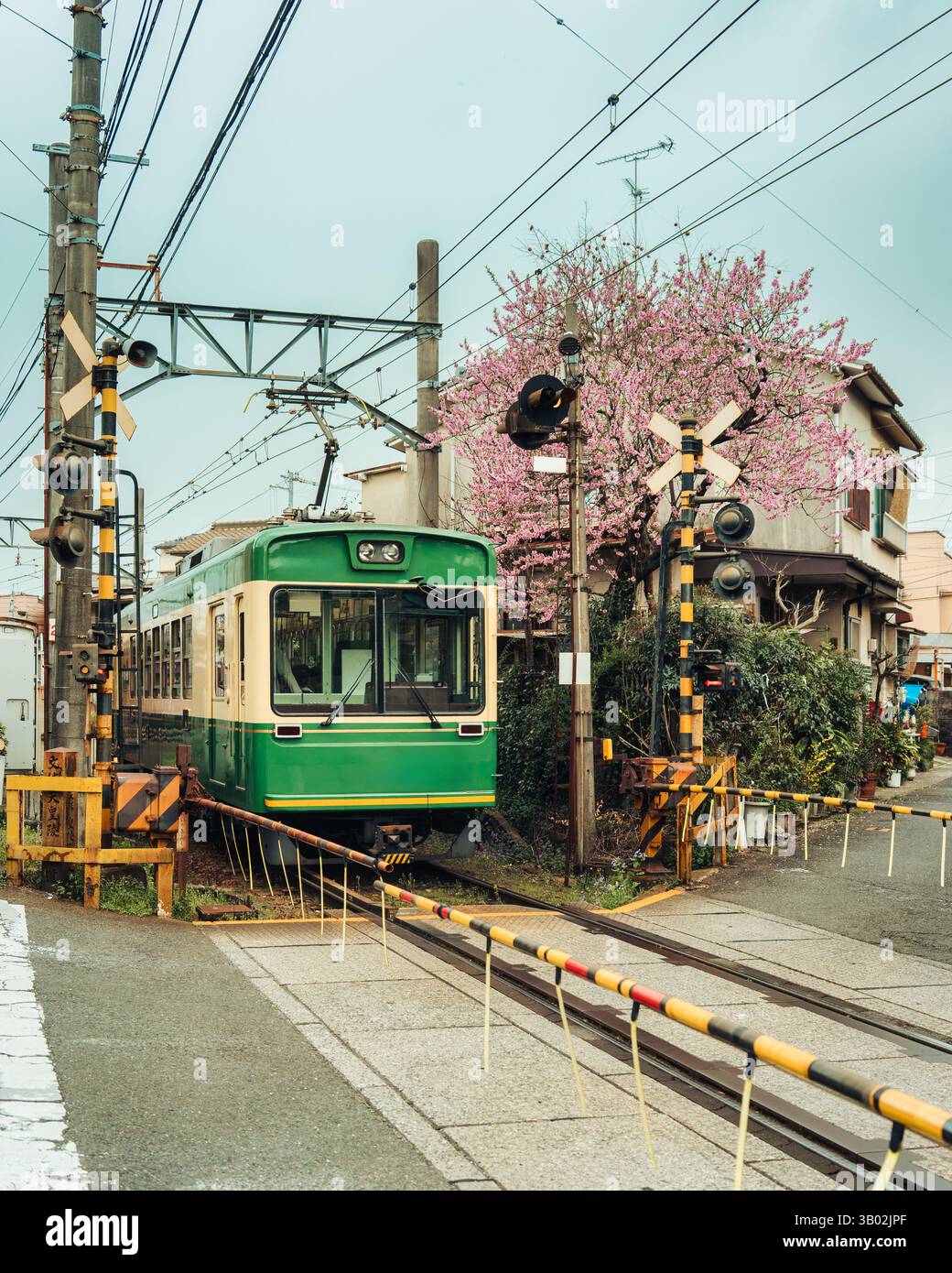 Sakura train hi-res stock photography and images - Alamy