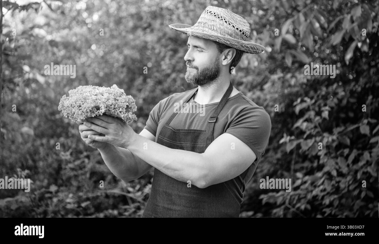 farmer villager in straw hat with lettuce leaves Stock Photo - Alamy