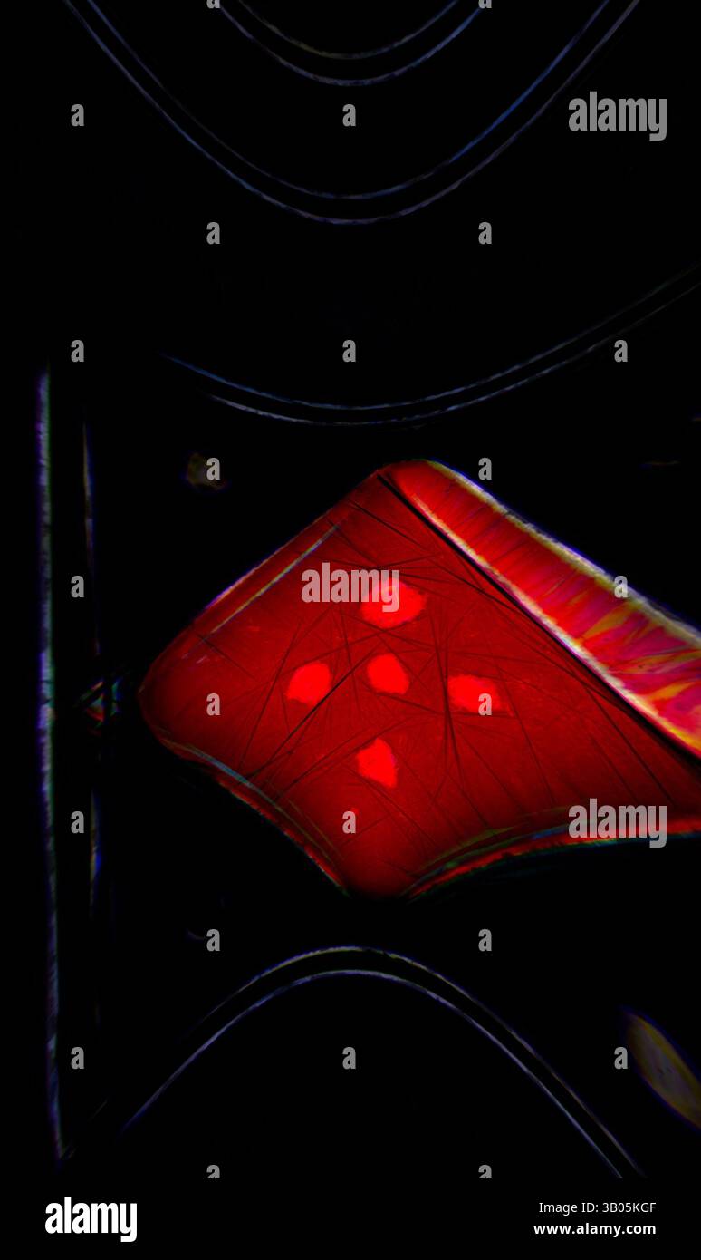 Five distinct markings hi-res stock photography and images - Alamy