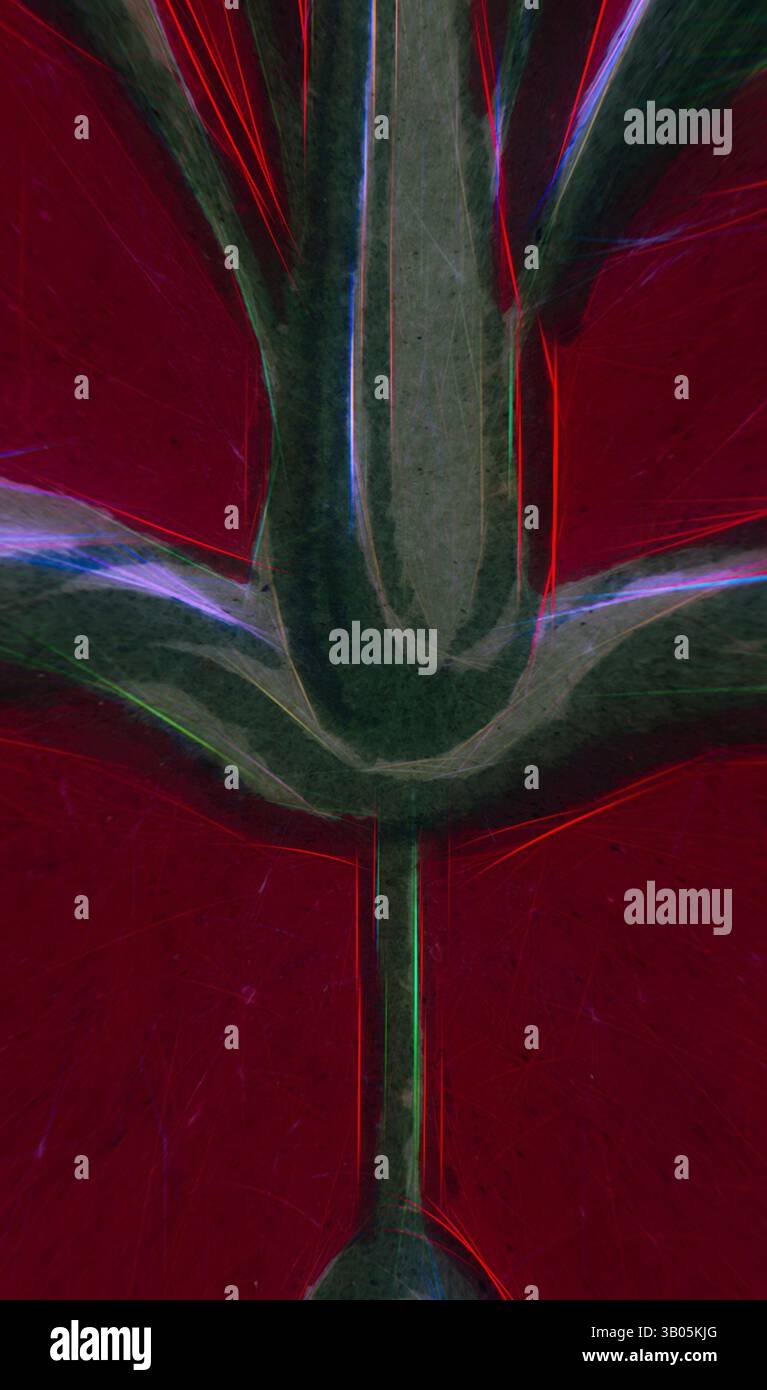 An abstract composition featuring intricate, organic shapes in ...