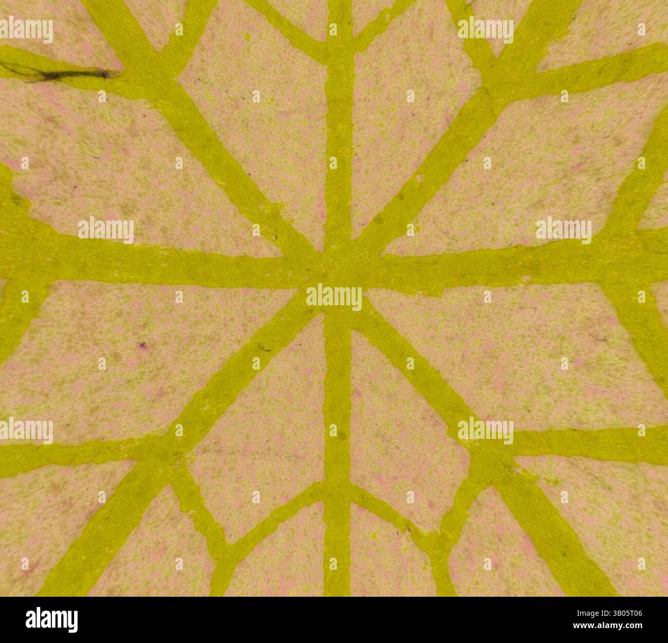 A vibrant web of intersecting yellow lines radiates from a central point, creating a dynamic geometric pattern against a soft pink background., A circular design featuring a geometric pattern of interlocking shapes, highlighted by a vibrant yellow outline against a muted background. The intricate lines create a dynamically structured appearance, reminiscent of a stained glass window or intricate tile work. Classic art with a modern twist reimagined by Artotop, Transformed Persian Ornament, Classic art with a modern twist reimagined by Artotop Stock Photo