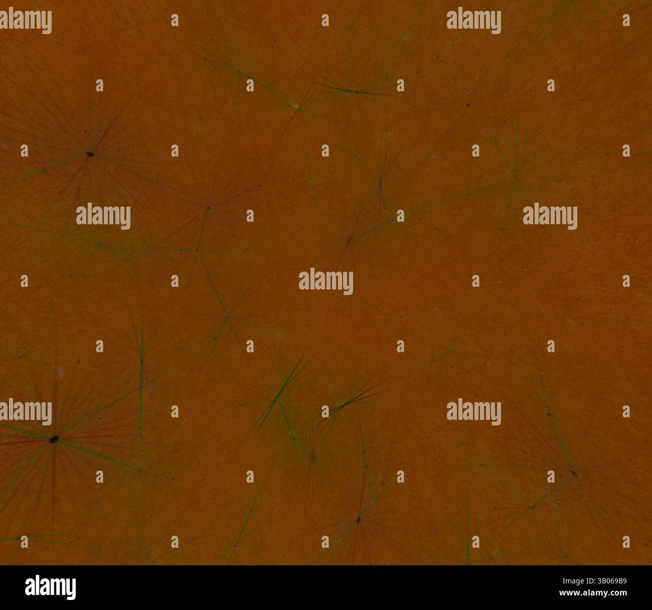 An abstract composition featuring a warm orange background interspersed ...