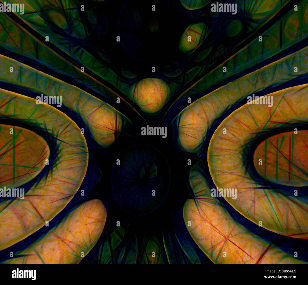 Mesmerizing allure hi-res stock photography and images - Alamy