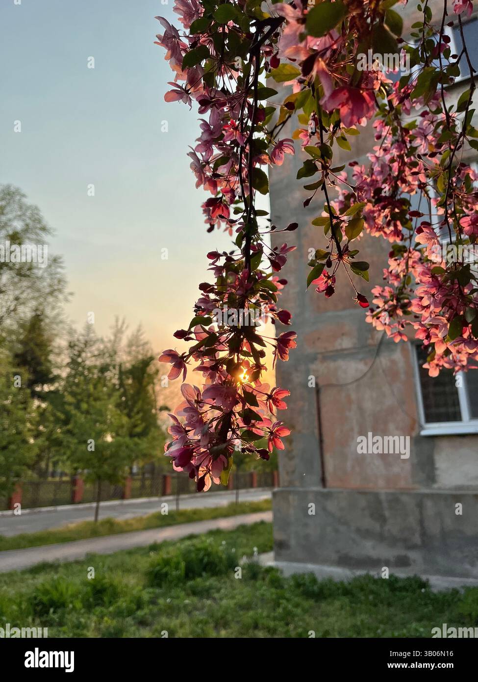 Magic spring - Smartphone Captured Stock Image