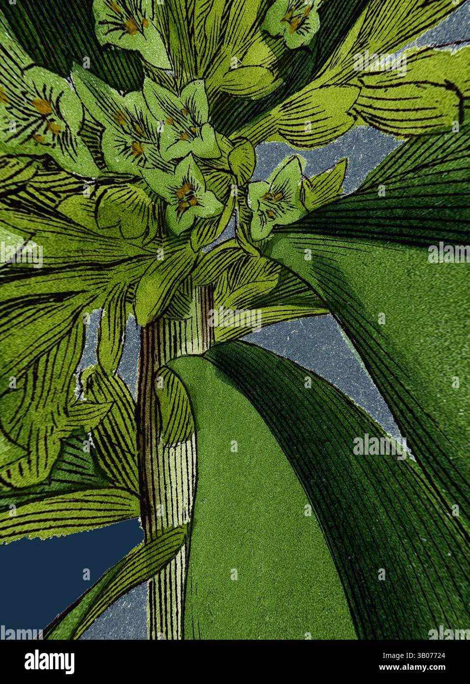 A vibrant display of botanical elements, featuring intricate green ...