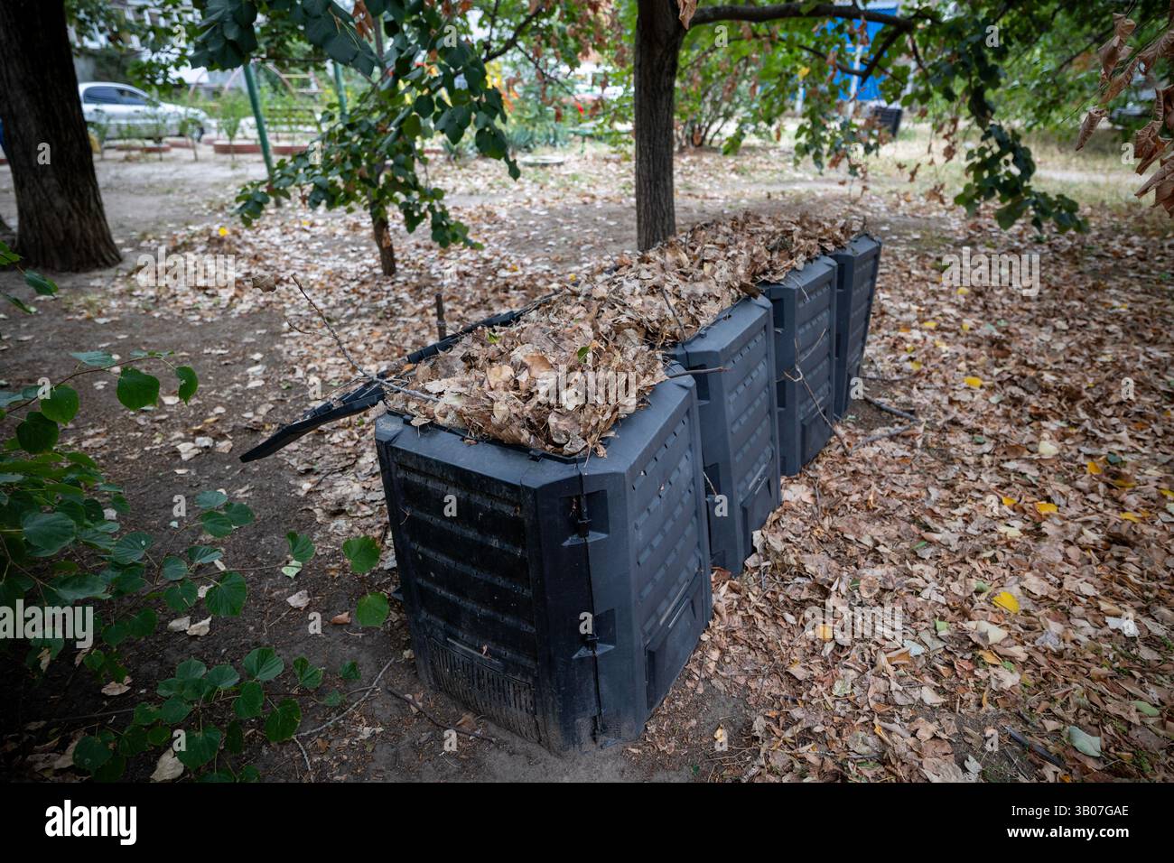 A black compost bins stand in a row on the ground, each filled with ...