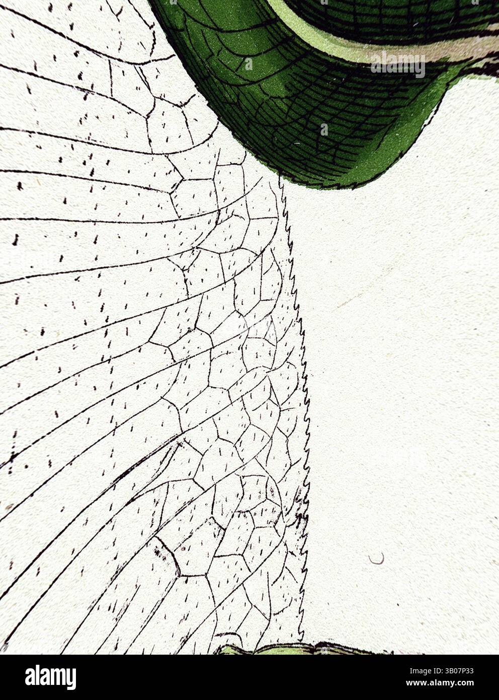 A close-up view of a textured surface featuring intricate patterns ...