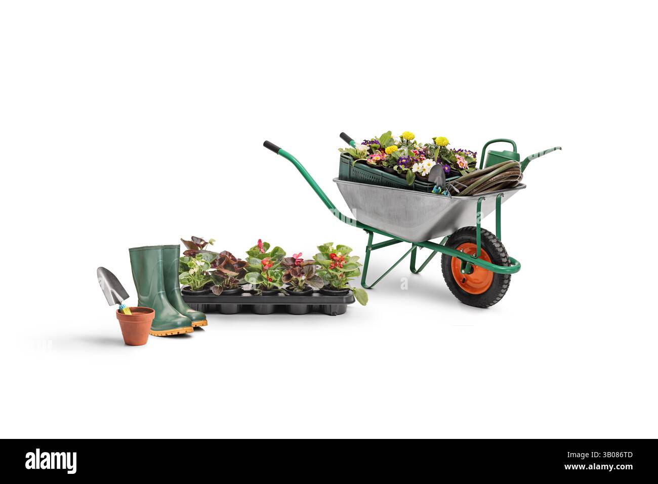 Wheelbarrow with flowers, garden boots and spade with pot isolated on white background Stock Photo