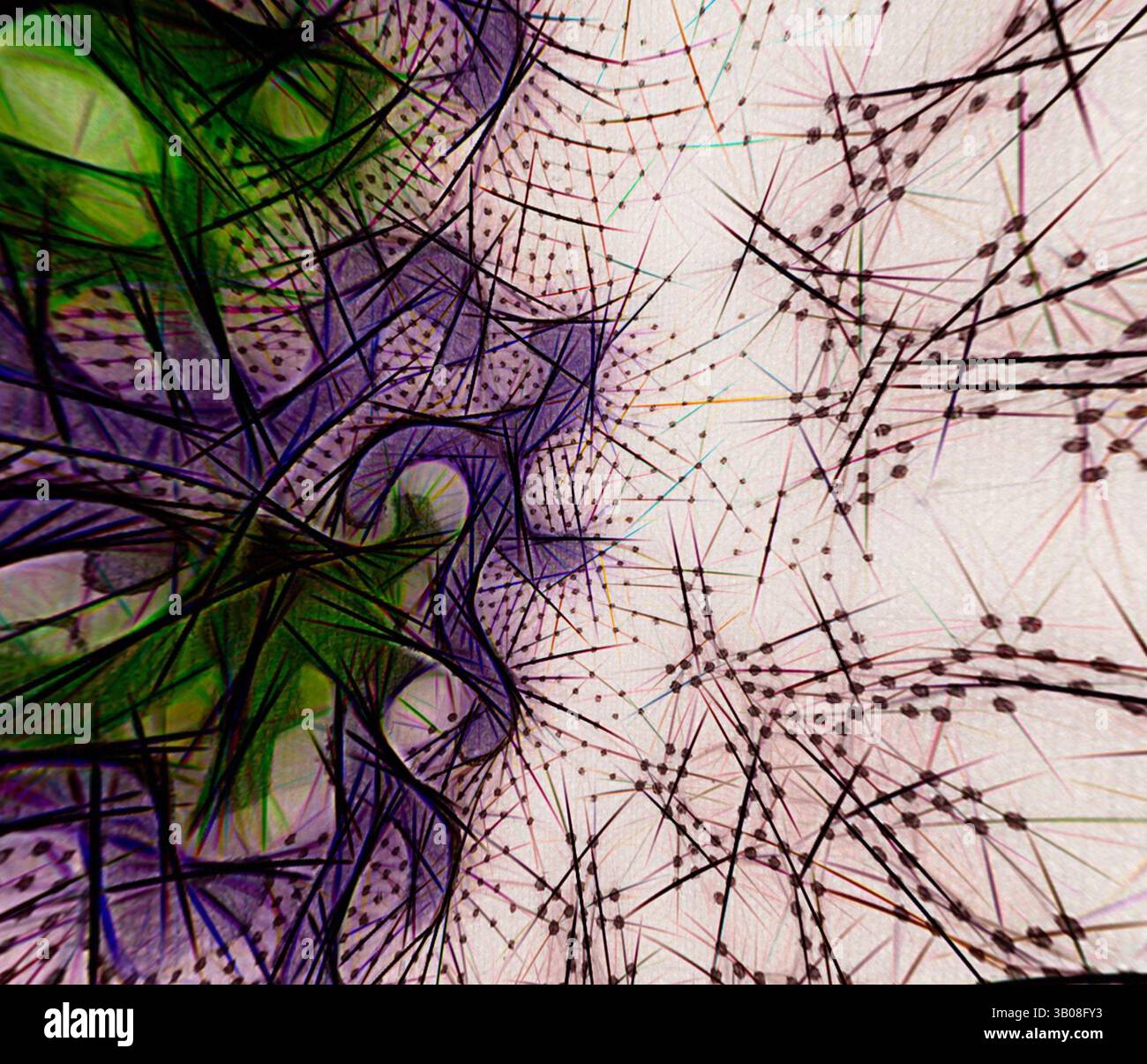 An abstract composition featuring intricate lines and curves, creating ...