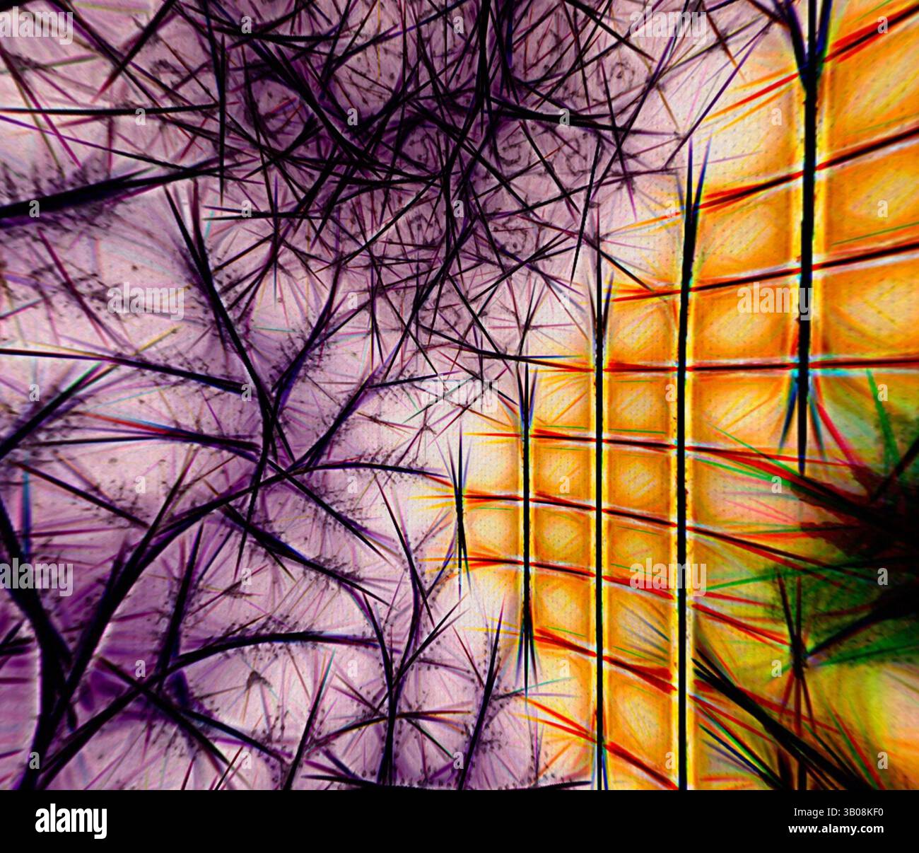 A vibrant interplay of abstract shapes and lines creates a dynamic ...