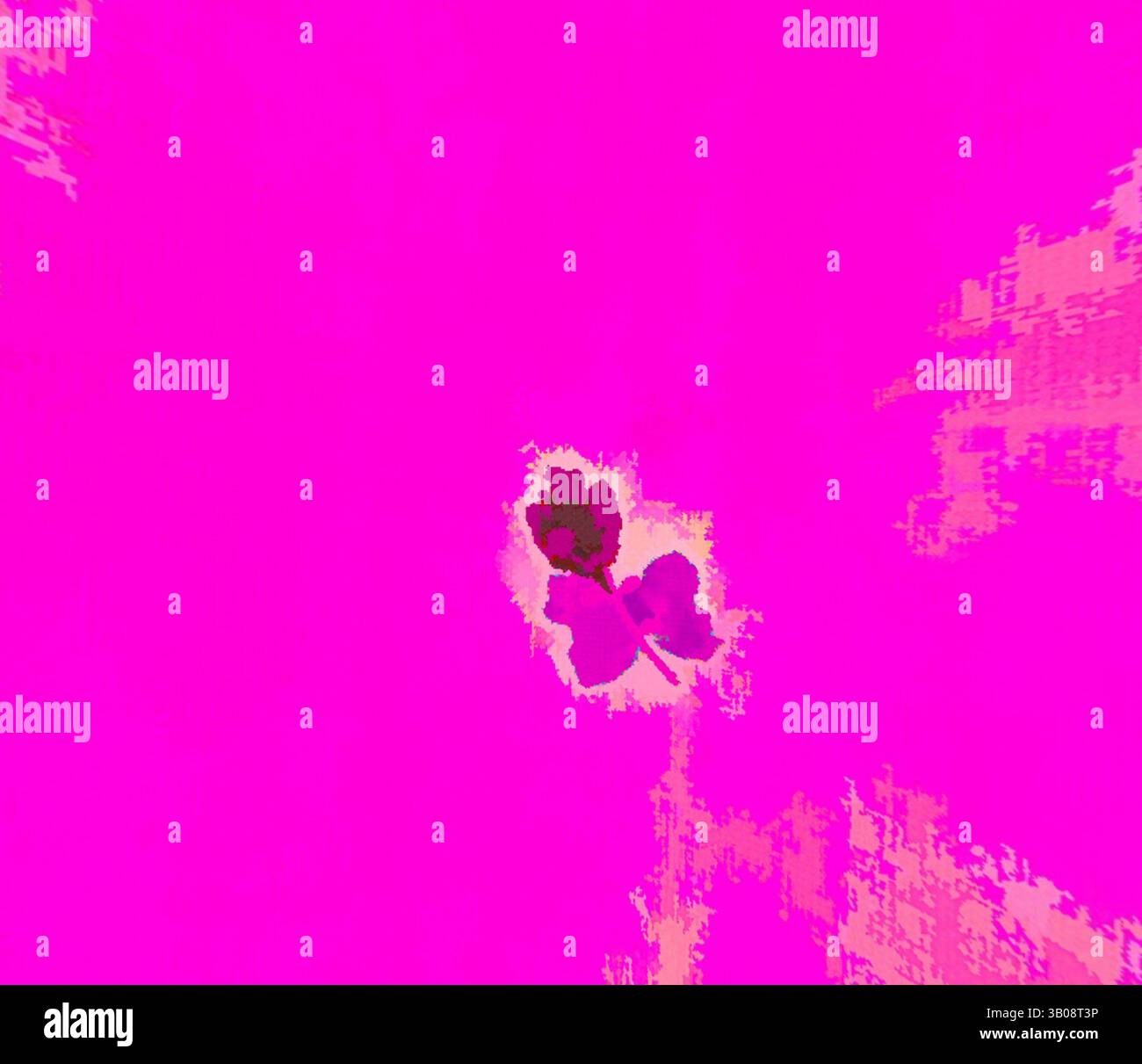 Pink Surrounds Vibrant burst of pink surrounds hi-res stock photography and images - Alamy