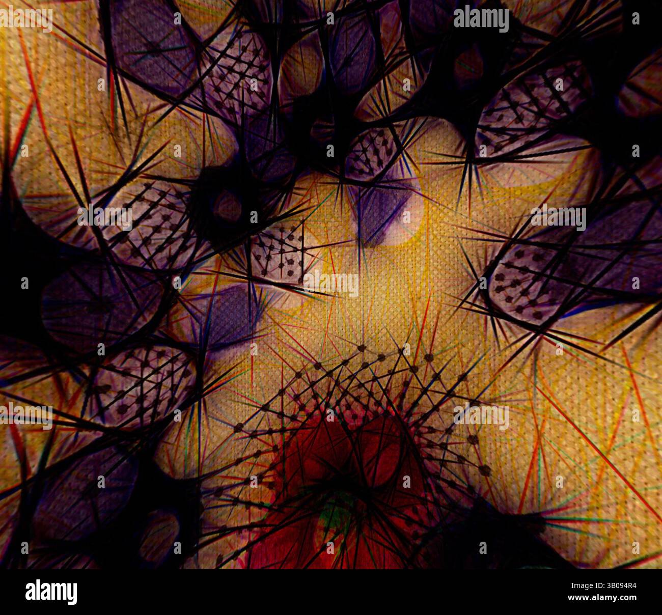 Spiky Textures Patterns Intricate patterns of spiky forms hi-res stock photography and images ...